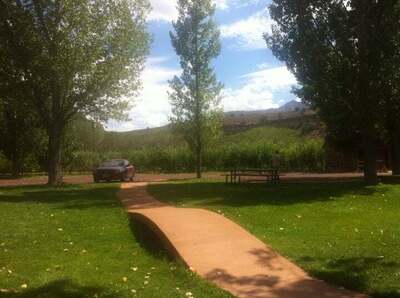 Springdale Orchard