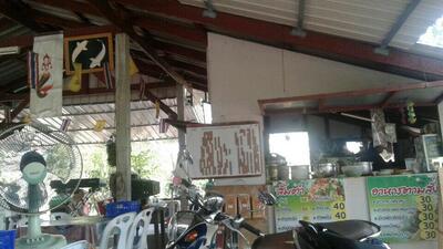 ล้านแมกไม้