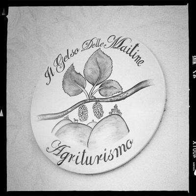 Il gelso delle maitine