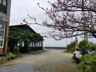 やんばる横町