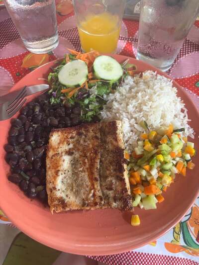 Rosi's Soda Tica