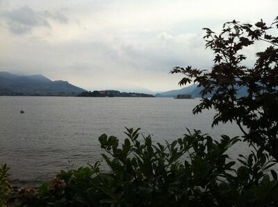 Ristorante Pizzeria la Rondine