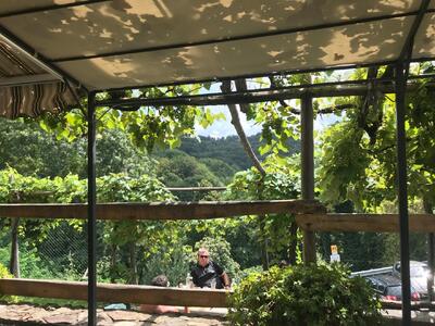 Trattoria La Topia (dalla Serena)