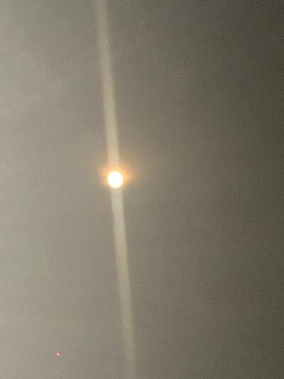BLUE MOON