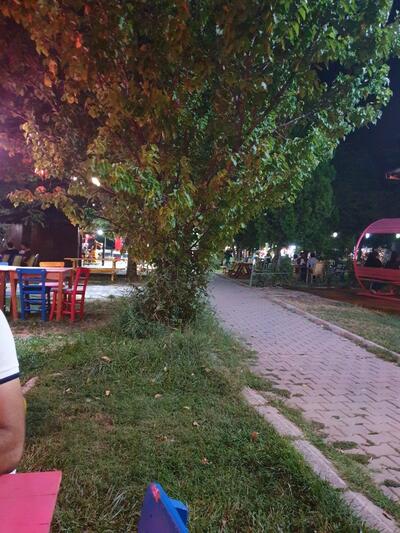 atik et balık