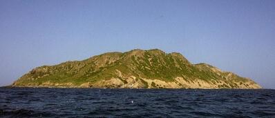 sea harbor meson costero