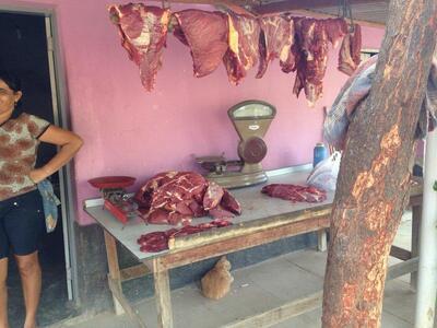 Frigorifico Belezinha