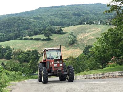 Ristorante Podere Conti