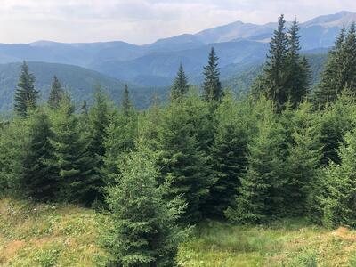 Taverna Olteanului Hotel&Restautant Rânca-Transalpina
