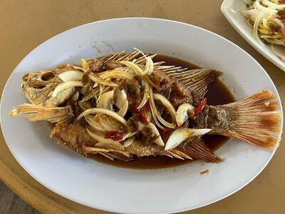 Big Tree Restaurant 香樹下河鮮(炒粥)