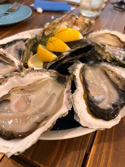 Shucker's