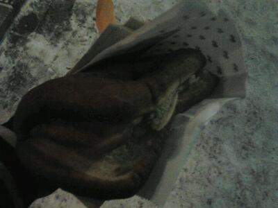 Mamin Grilli