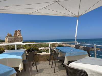 Torrecafe