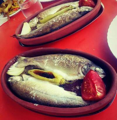 Düzköy Canlı Alabalık Tesisleri