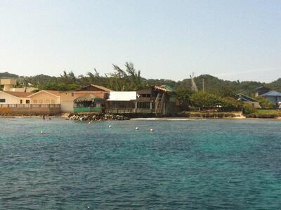 Dixon's Palapa