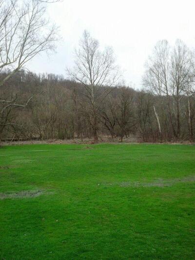 Celko's Trout Camp