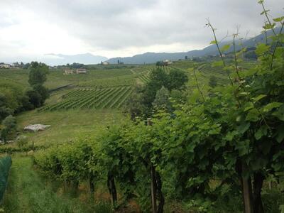 Agriturismo Da Ottavio