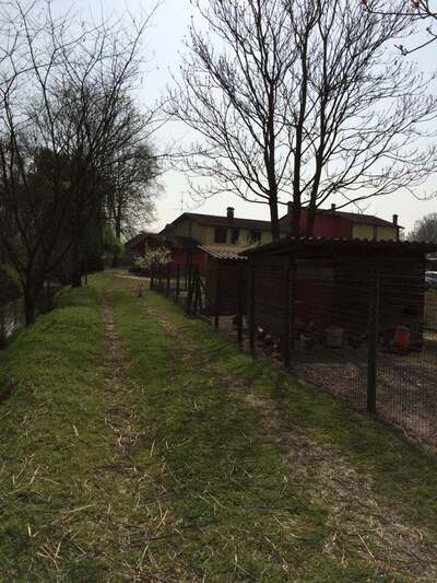 Agriturismo Del Cortese foto