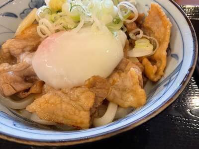 やま都うどん