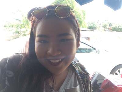 แมวก๋วยเตี๋ยวไทย