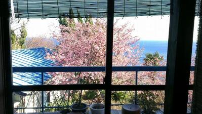 浜田屋