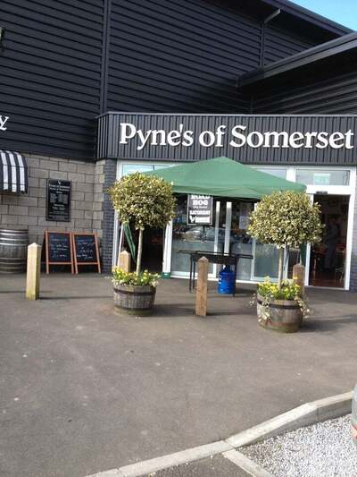 Pynes Of Somerset