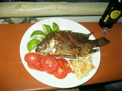 Fishpoint