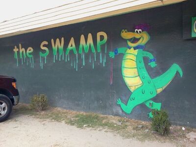 The Swamp