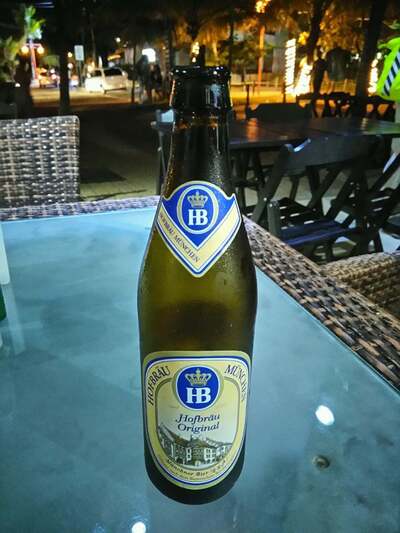 Angus Carnes Nobres foto