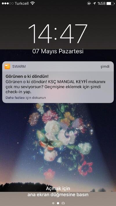 Kasap Sarı Çiftliği
