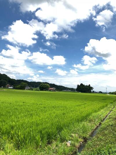 松崎酒造店