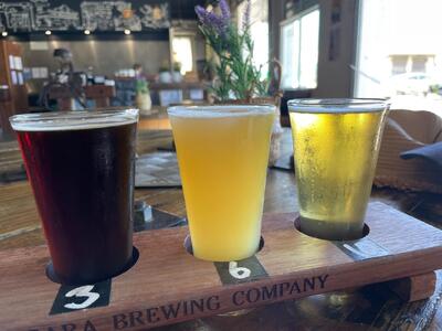 Bargara Brewing Company's Brewhouse