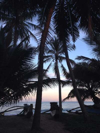 Star Fish Beach Cafe