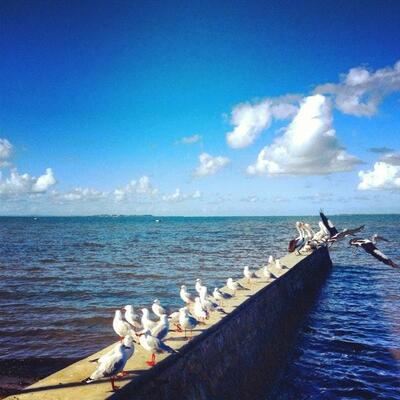 Wynnum Seafood
