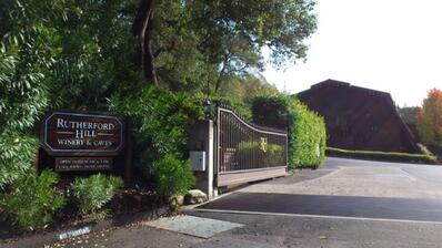 Rutherford Ranch Vineyards, General Information and Administration