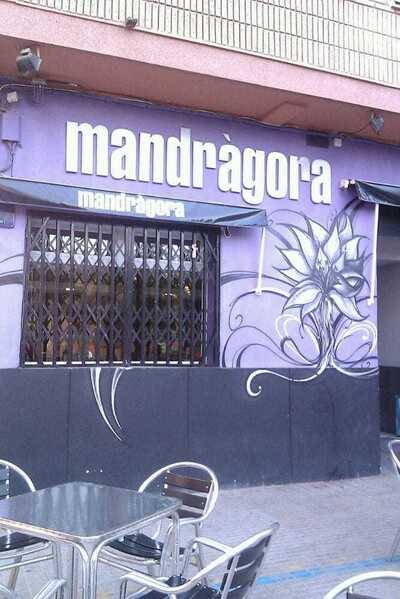 mandrágora