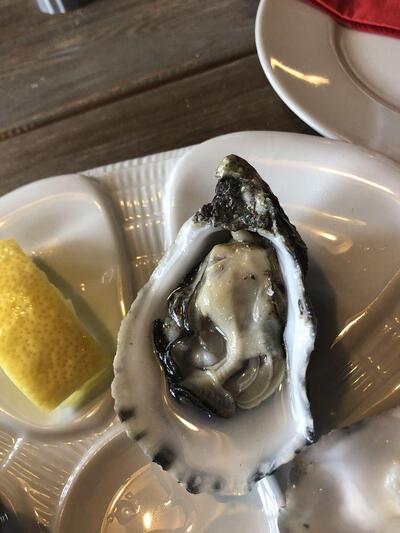 Seafood - fish experience! (Ditzer)