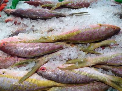 Paterson Seafood & Meat Center