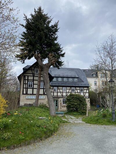 Gasthaus Alte Apotheke