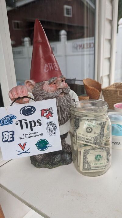 Frozen Gnome