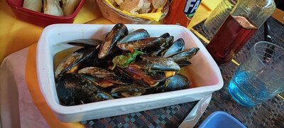 New Garden dal Pirata