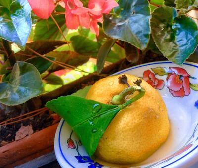 La Cucina di Nonna Nina