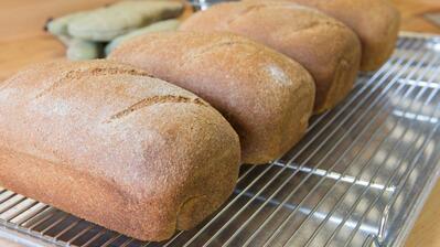 Willow Basket Bread