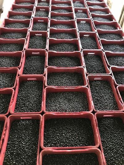 Fast Nature - Sobradinho