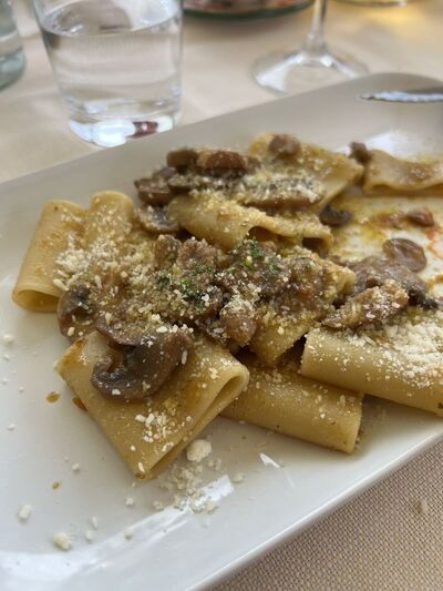 Bar-Trattoria il “Cardillo”