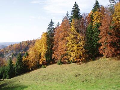 Restaurant Chalet de la Dent de Vaulion