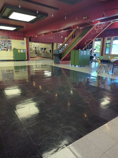 Cougar Cafe