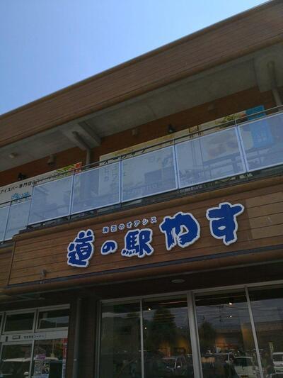 道の駅やす