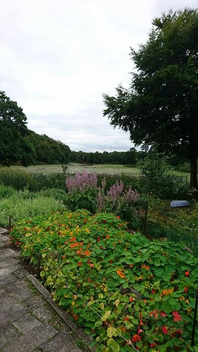 Restaurant Herthadalen