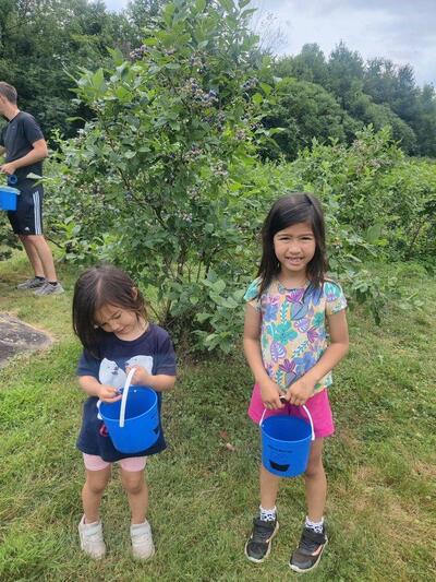 Wildwood Berry Farm